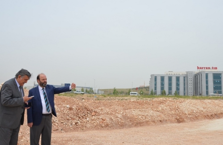 Rektör Taşaltın Ve Müftü Açık Harran Tıp’taki Cami Yerini İnceledi