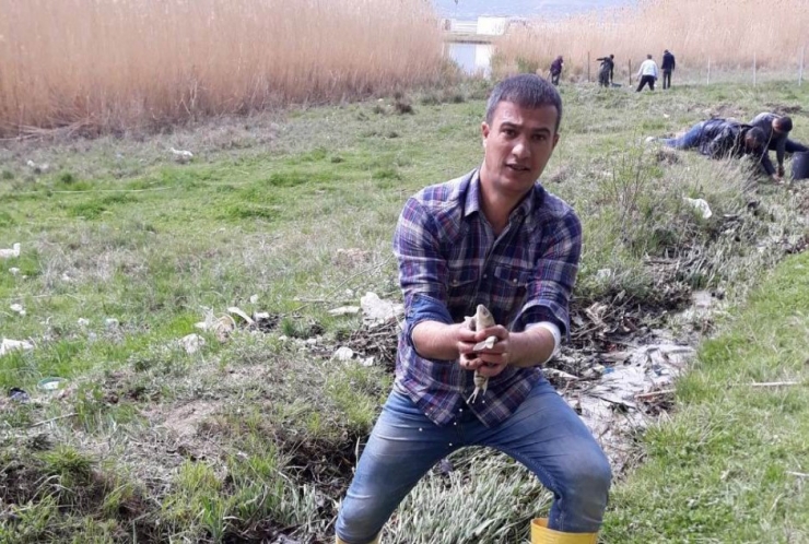 İnci Kefalini Kurtarmak İçin İnanılmaz Mücadele