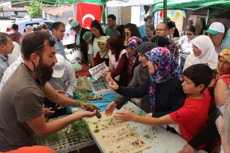 Yakakayı’da Yerel Tohum Ve Fide Takas Şenliği