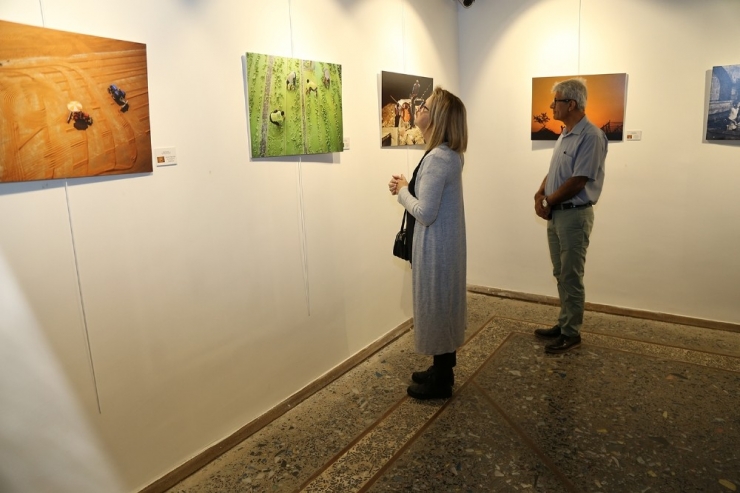 Büyükşehir Belediyesi’nden 4 Mevsim Fotoğraf Sergisi