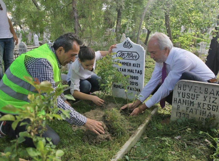Başkan Saraçoğlu Gönüllere Dokunuyor