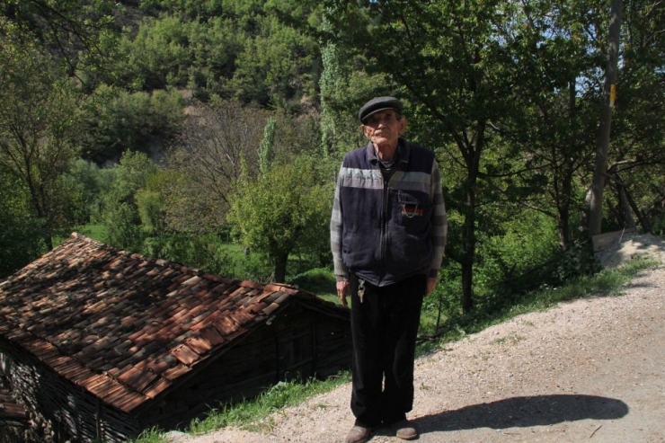 Ceviz Üreticisini Don Vurdu