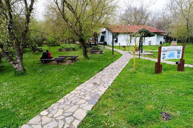 70’e Yakın Kuş Türü Üreme Dönemi İçin Kuş Cenneti’ne Geliyor