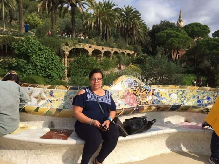 Amerika-izmir Zayıflatma Hattı