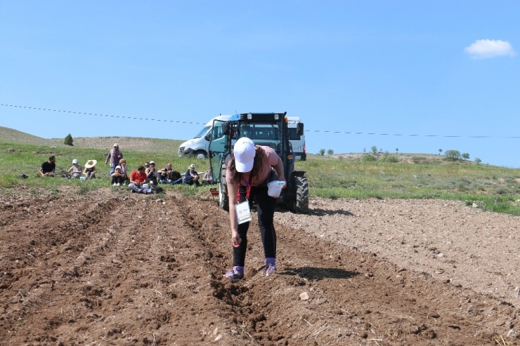 Köy Hayatını Üreterek Ve Yaşayarak Öğrendiler