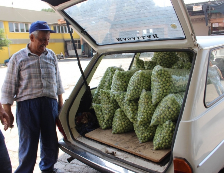 Erik Diyarı Umurlu’da Yetiştiricinin Tadı Kaçtı