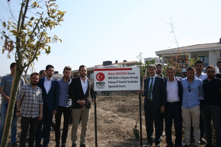 Serdivan’da Fidanlar Toprakla Buluştu