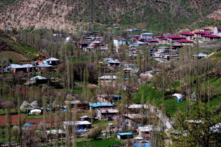 Nesli Tükenmekte Olan Semenderler Köylünün İçme Suyundan Çıktı