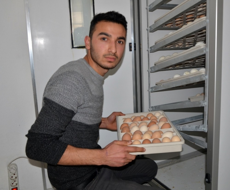 Hobi İçin Başladı, Şimdi İhracatını Yapıyor