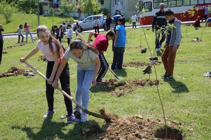 Camili’de Bin 500 Ağaç Dikilecek