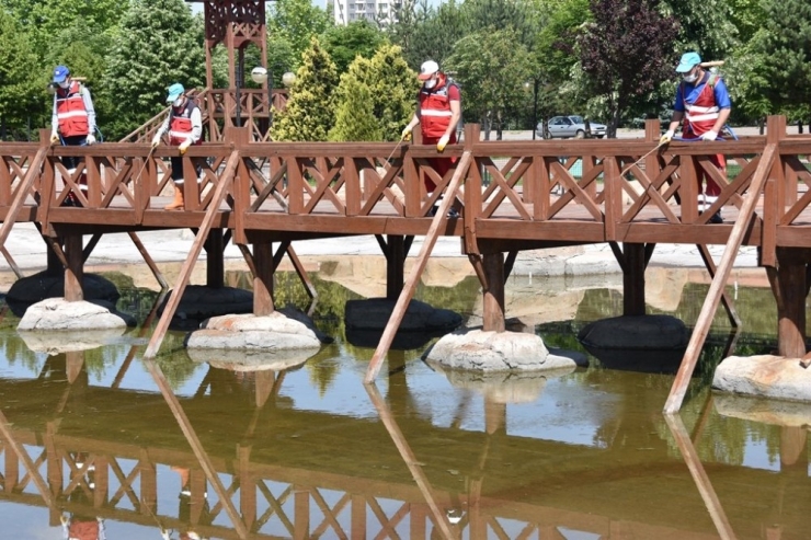 Kocasinan’da, Huzurlu Bir Yaz İçin Haşere İle Mücadele Aralıksız Sürüyor