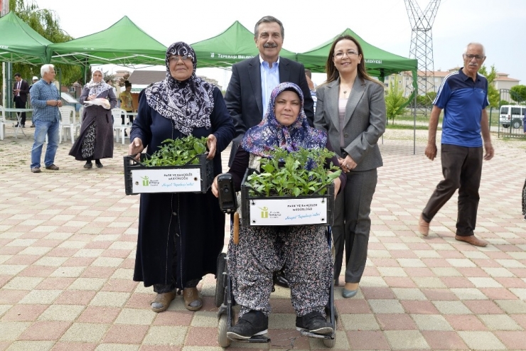 Hobi Bahçelerinde Fide Dağıtıldı