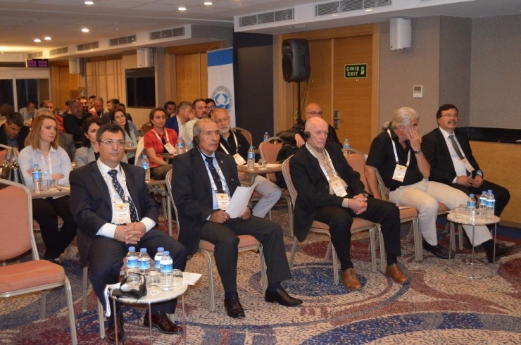 Hamsiyi Konuşmak İçin Dünyanın Öbür Ucundan Geldi