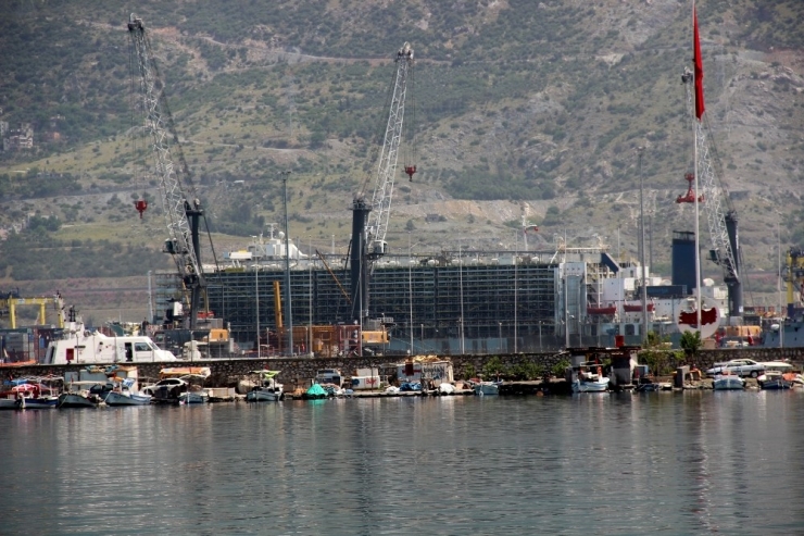 İthal Anguslar İskenderun Limanı’na Geldi