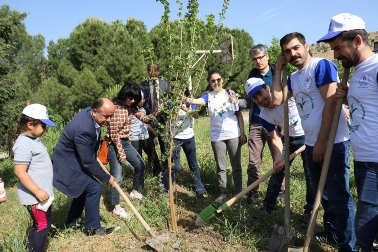 Tarzan’ın Torunları Çekirdek Topluyor