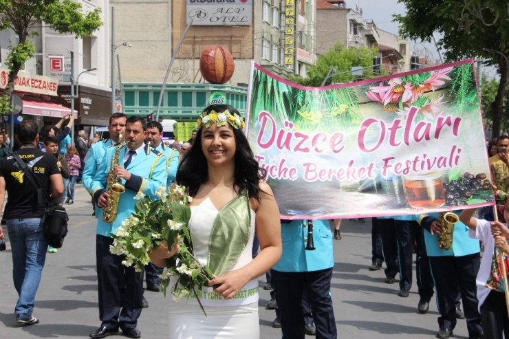 "Düzce Otları Tyche Bereket Festivali" Renkli Görüntülere Sahne Oldu