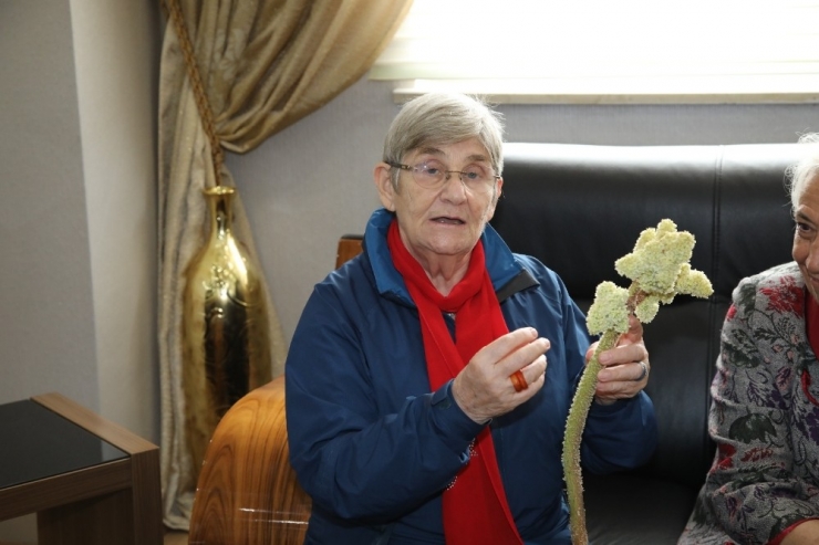 Prof. Dr. Canan Karatay, İkram Edilen Işkını Eliyle Soyup Hem Yedi, Hem İkram Etti