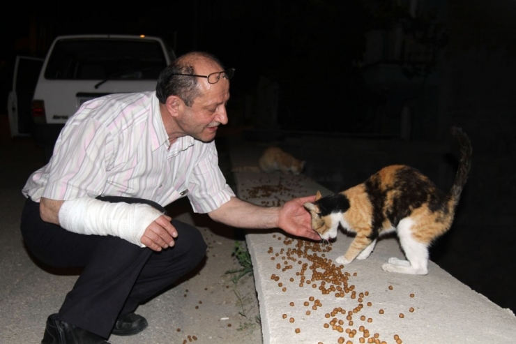 Aylık 2 Bin Tl Vererek Sokak Hayvanlarını Besleyen Adama Meydan Dayağı