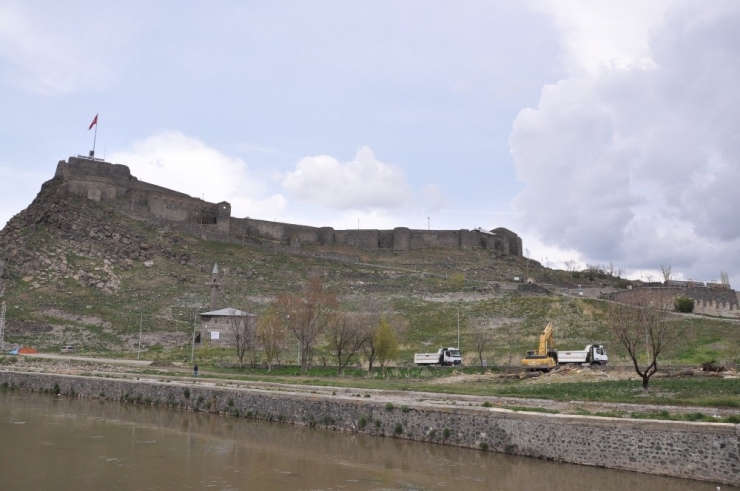 Polen Üreten Ağaçlar Kesildi, Kars Kalesi’nin Önü Açıldı