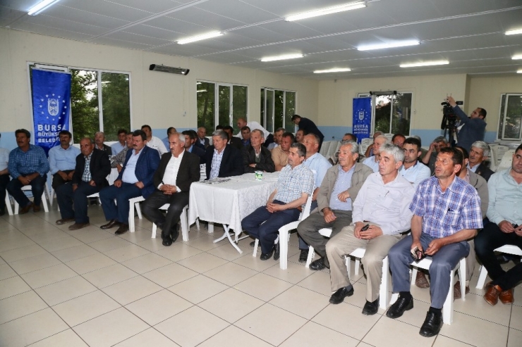 Büyükşehir, Büyükorhan’ın Yanında