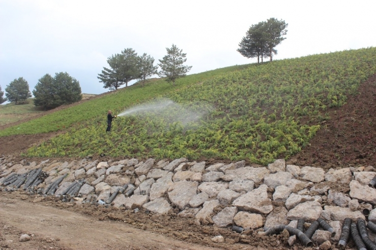 Ağrı’da Çevre Düzenlemesi Devam Ediyor