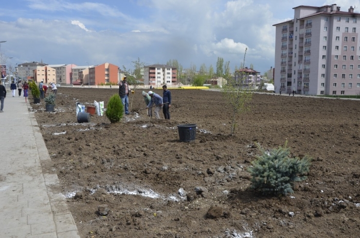 Ağrı’da Yeni Parklar Yapılıyor