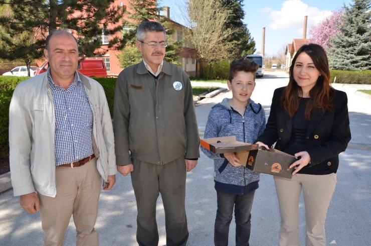 Minik Hayvanseverden Yine Örnek Bir Davranış