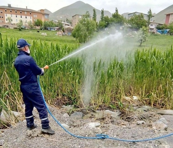 Hakkari’de Haşerelerle Mücadele Çalışması