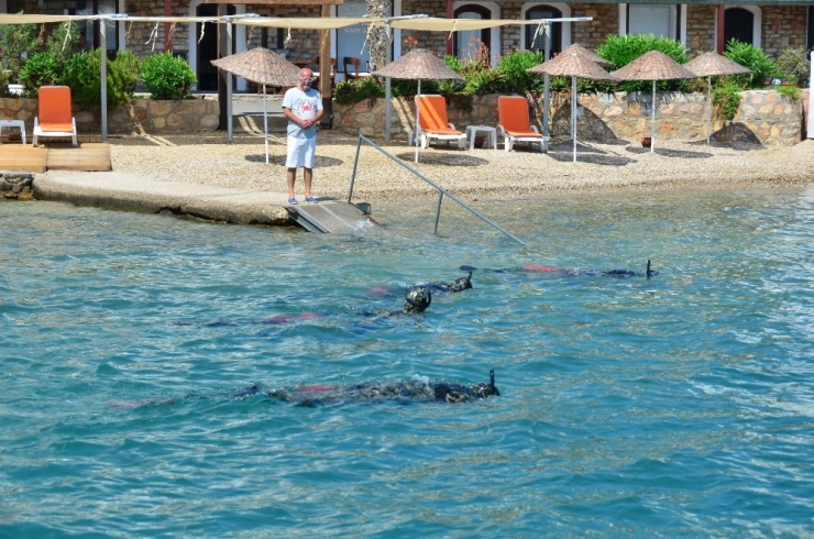 Bodrum Koylarında Deniz Dibi Temizliği Sürüyor