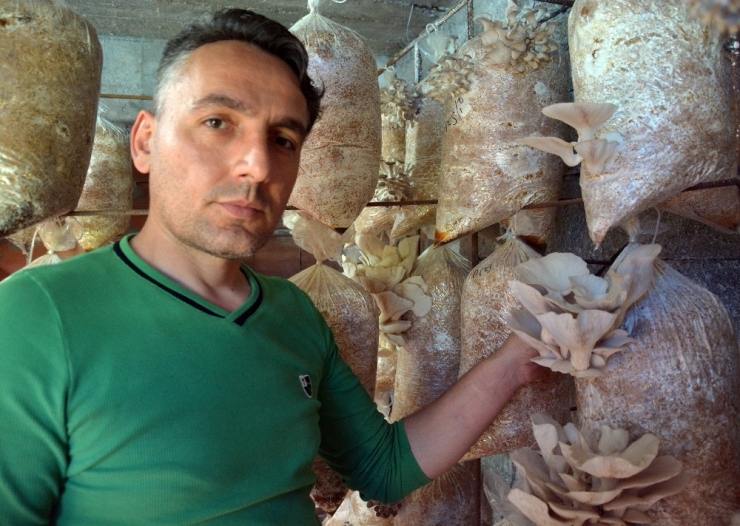 Mantar İçin 20 Yıllık Mesleğini Bıraktı