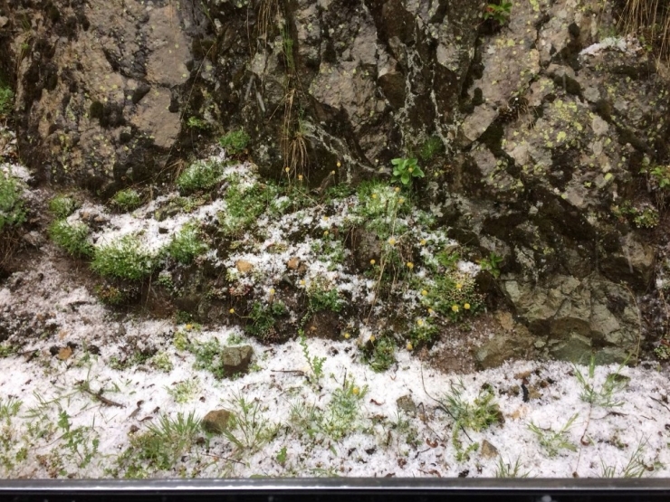 Dolu Yağışı Şaşırttı