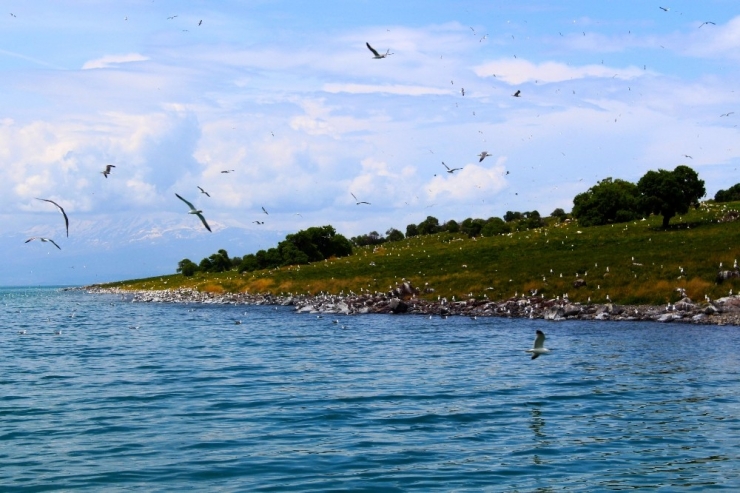 Adır Adası Eşsiz Dokusuyla Büyülüyor