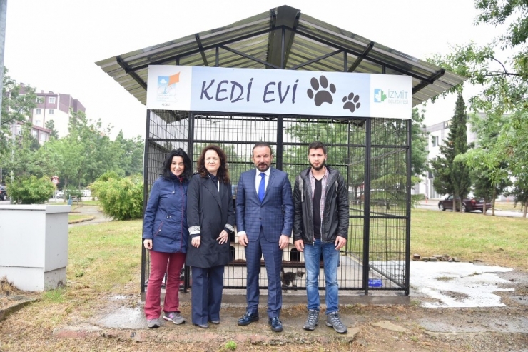 İzmit Belediyesi’nde Yahya Kaptan’a Kedi Evi