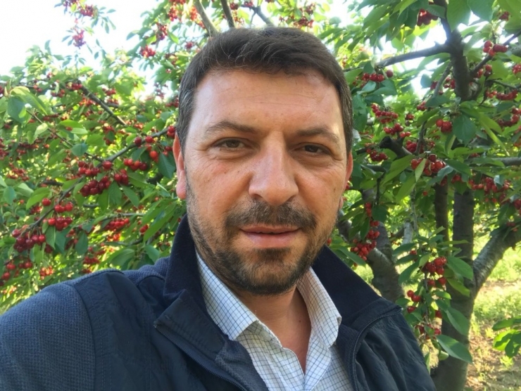 Bilecik İlk Kez Çin’e Kiraz İhraç Edecek