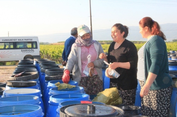 Üzüm Bağında Anneler Günü Kutlaması