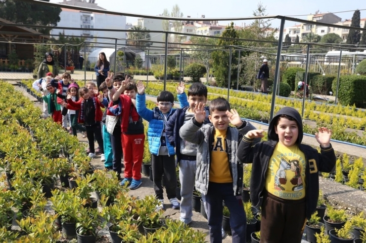 Şehrin Kalbinde Betonlar Arasında 94 Yıllık Oksijen Deposu