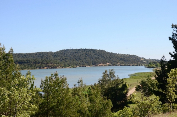 Türkiye’nin 232. Tabiat Parkı Uşak’ta İlan Edildi