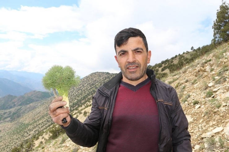 Erzurum’da Çaşır Zamanı