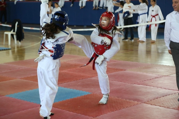 Odunpazarı’ndan Tekvando Turnuvası