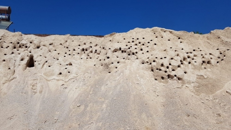 Kırlangıçlar Yuvadan Uçunca Şantiyede Duran İşler Yeniden Başladı