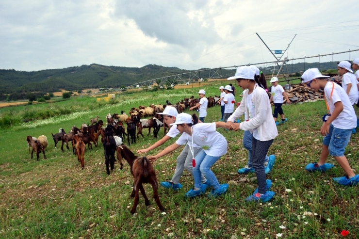 Adana’da Çocuklar Tarımla Buluştu
