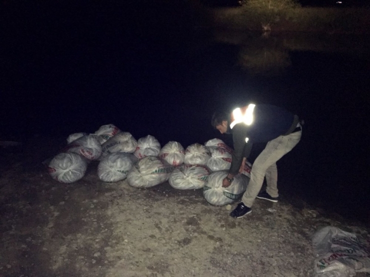 Muradiye’de 2 Ton İnci Kefali Balığı Ve 150 Metre Ağ Ele Geçirildi