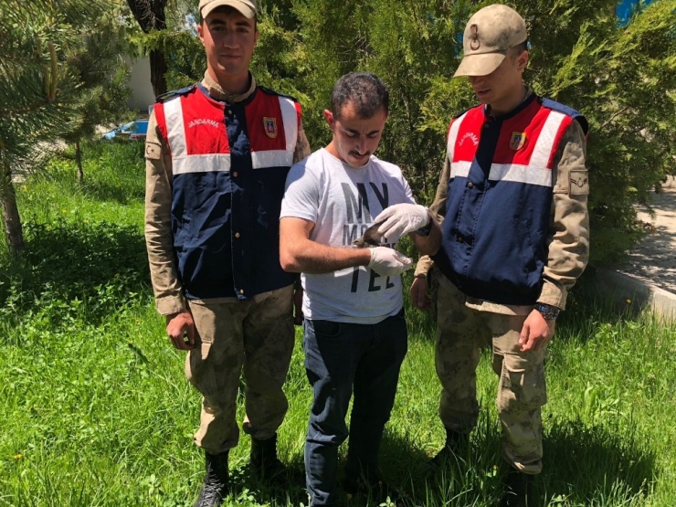 Jandarmadan Örnek Davranış