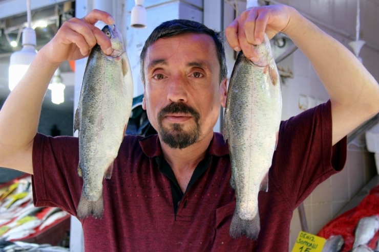 Ramazan, Balıkçıların Da Yüzünü Güldürdü