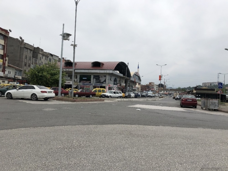 Dünya’nın En Yaşlı Ağacı İçin Yön Tabelası İstediler