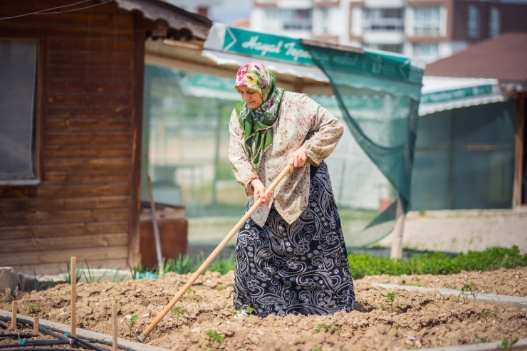 Hobi Bahçelerinde Üretmenin Keyfini Yaşıyorlar
