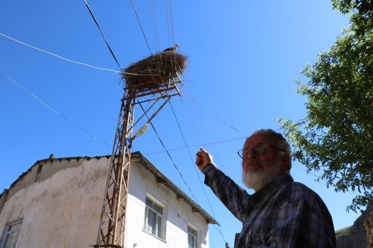 Göçmen Leylekler Köy Sakini Gibi