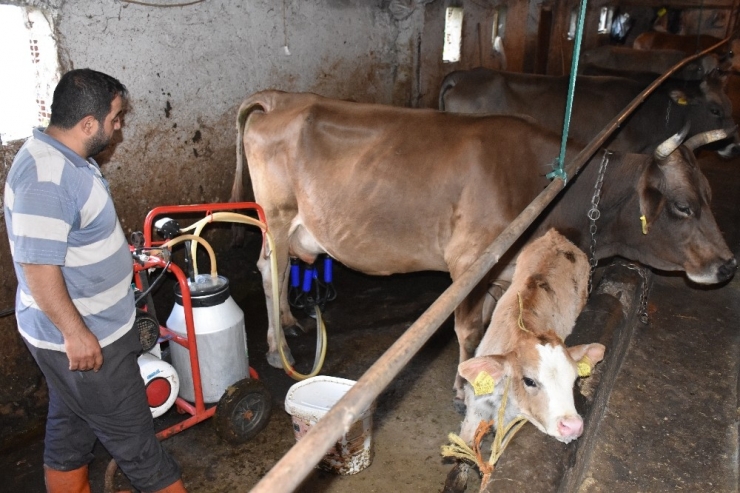 Dev Yatırım, Bingöl’e Aylık 60 Milyon Lira Sıcak Para Bırakacak