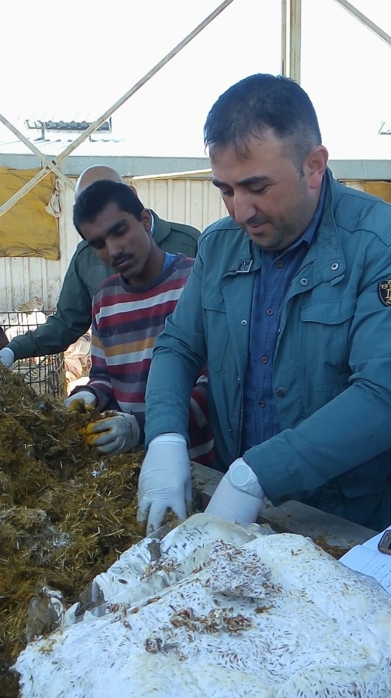 Ko-mek’le Mantar Yetiştirmeyi Öğreniyorlar