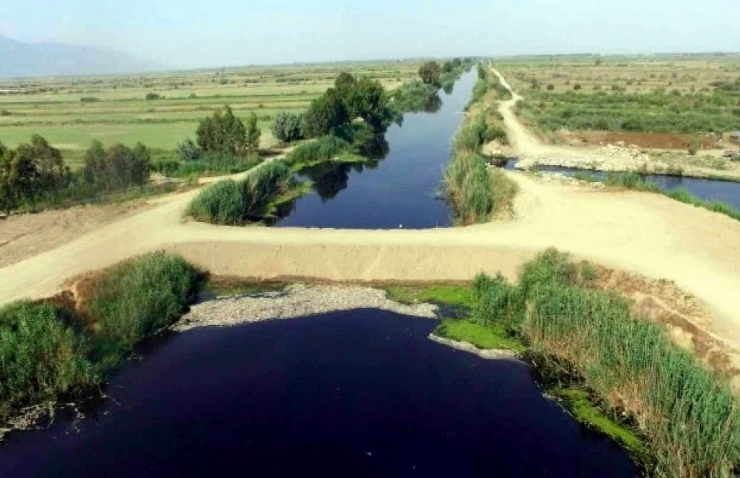 Binlerce Ölü Balık Havadan İlk Kez Görüntülendi